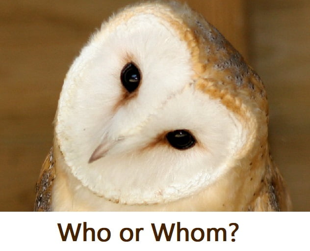 Who or whom? Owl
