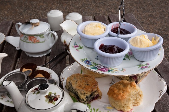 Food and drink vocabulary - cream tea